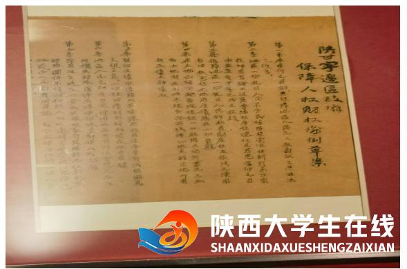 1757861687474679.png 5.png